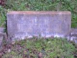 image of grave number 595154